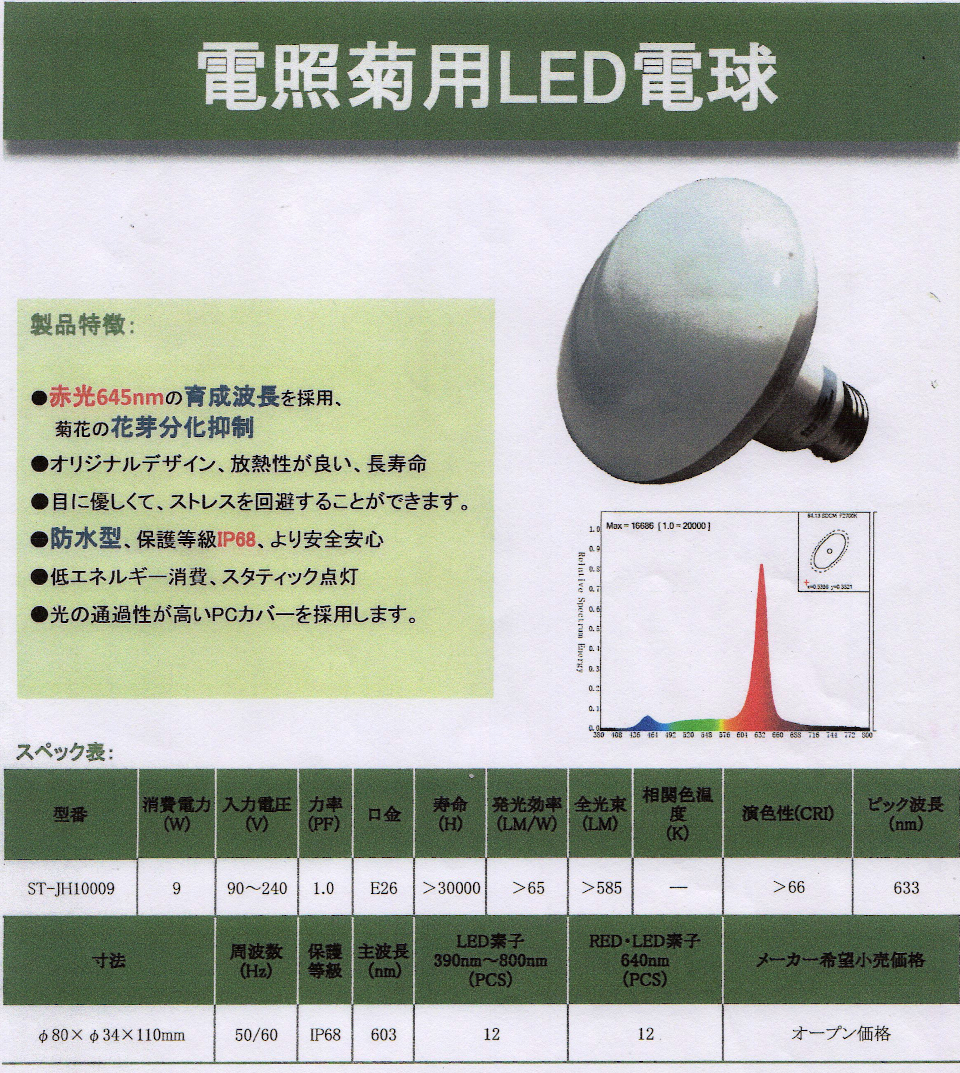 電照菊用ＬＥＤ電球